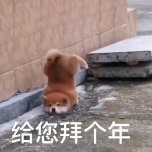 穷山沟睡老女人小说合集
